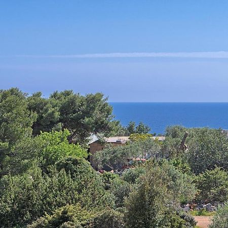 Apartments Irena Hvar Town Exterior photo